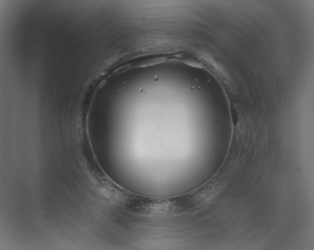 X0000075910306200609151436
