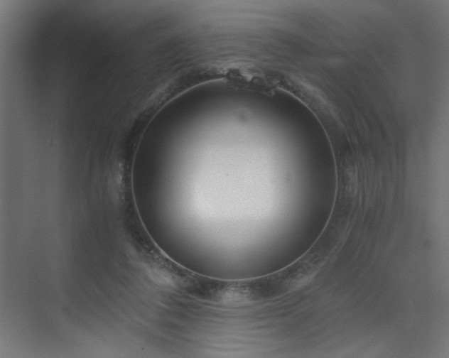 X0000075910308200609151436