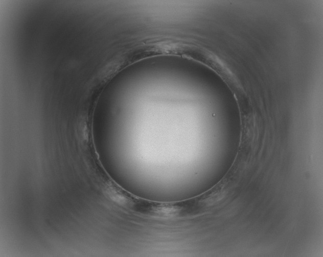 X0000075910313200609151435