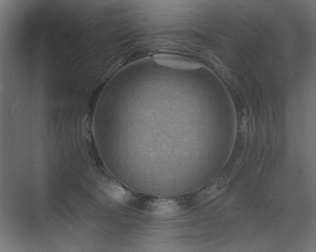 X0000075910322200609151435