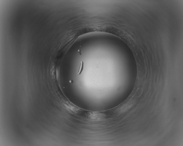 X0000075910336200609151435