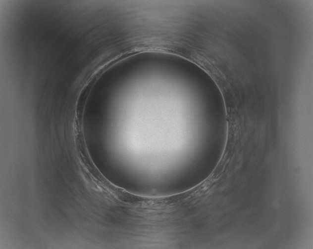 X0000075910338200609151434