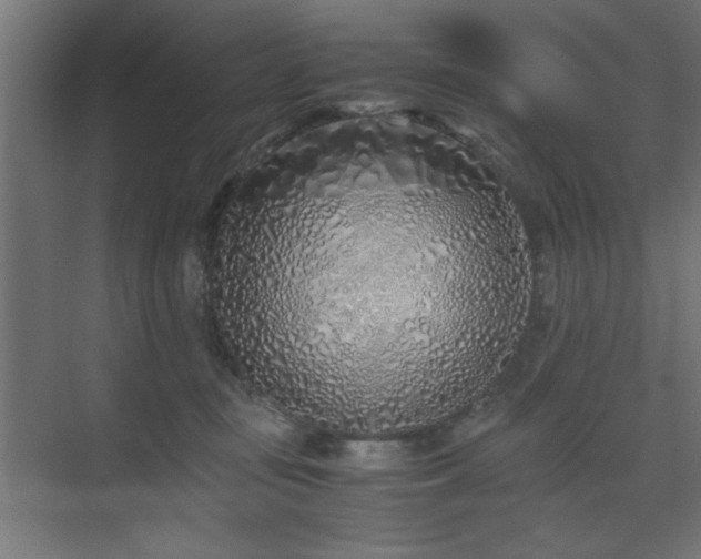 X0000075910371200609151435