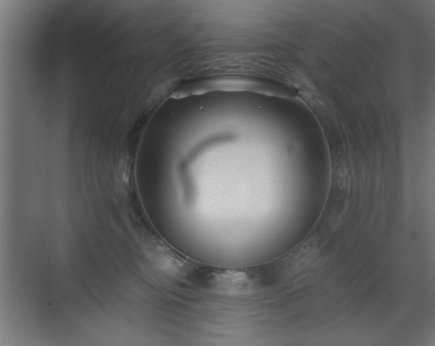 X0000075910374200609151435