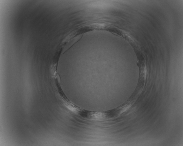 X0000075910383200609151435
