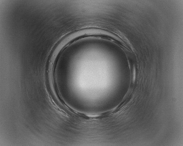 X0000075910386200609151434