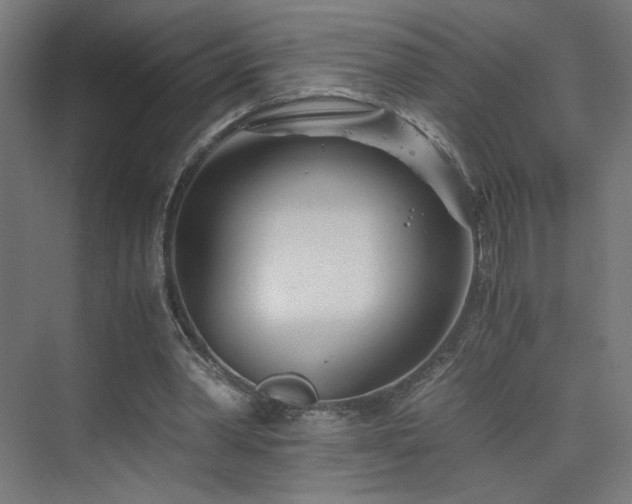 X0000075910390200609151434