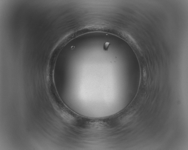 X0000075910396200609151434