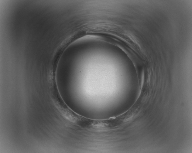 X0000075910407200609151434
