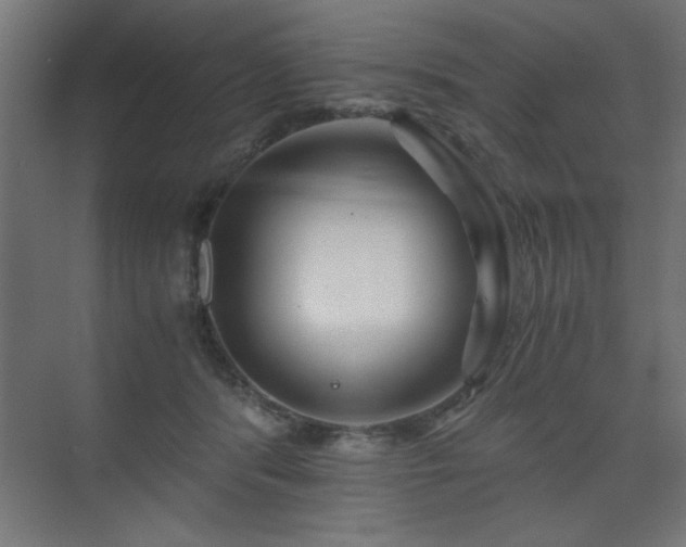 X0000075910416200609151434