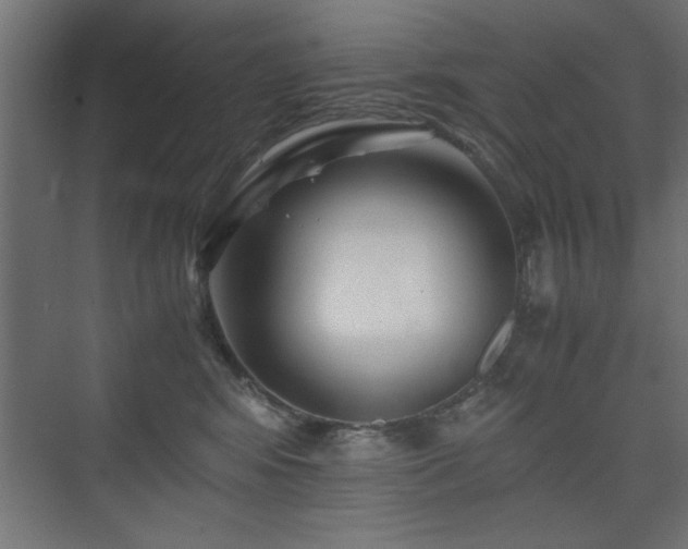 X0000075910424200609151434