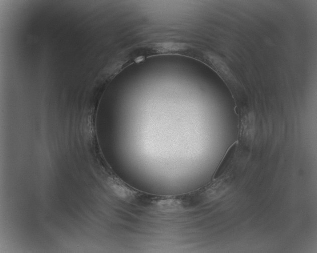 X0000075910426200609151434