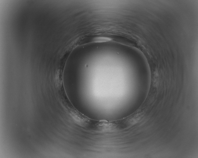 X0000075910428200609151434