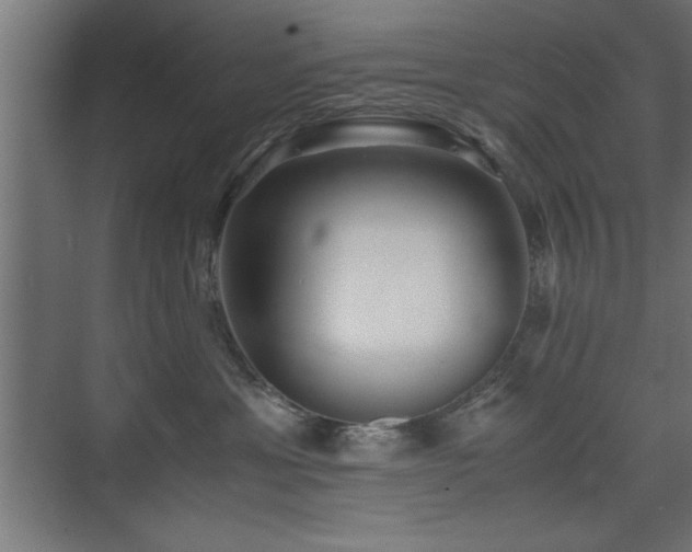 X0000075910429200609151434
