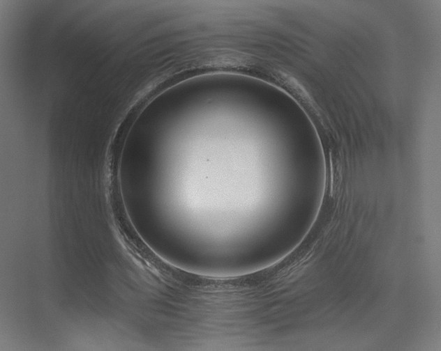 X0000075910435200609151433