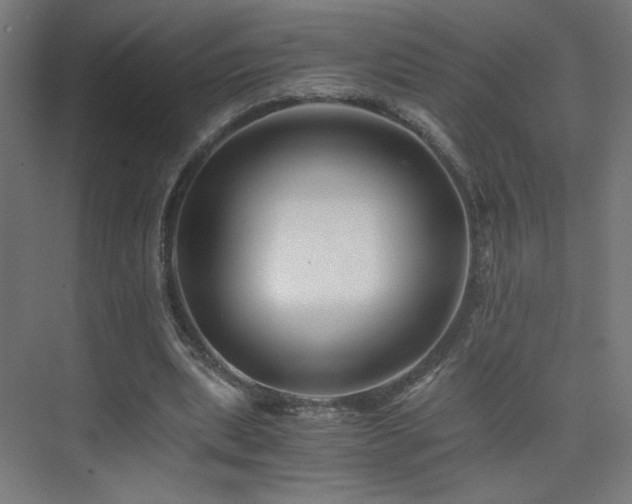 X0000075910439200609151433