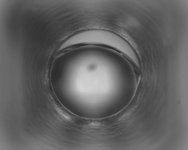 X0000075910441200609151433