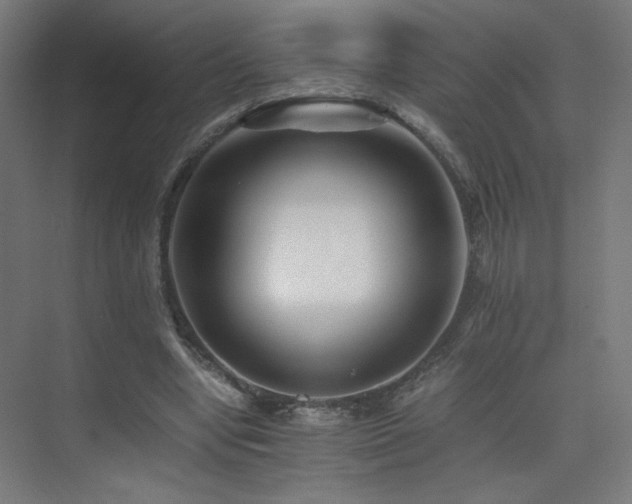 X0000075910442200609151433