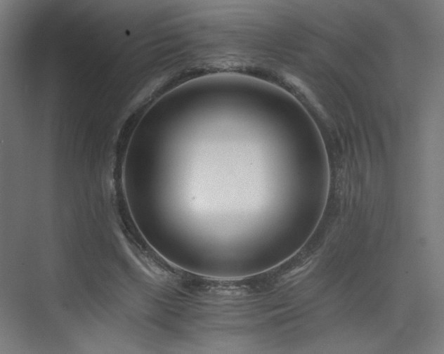 X0000075910443200609151433