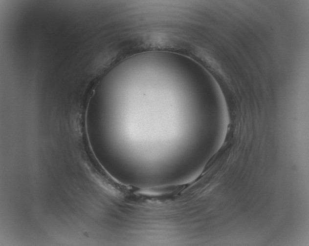 X0000075910450200609151433