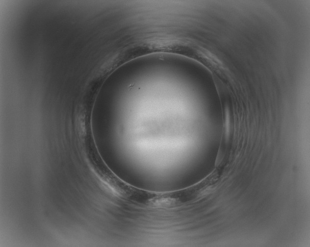 X0000075910452200609151433
