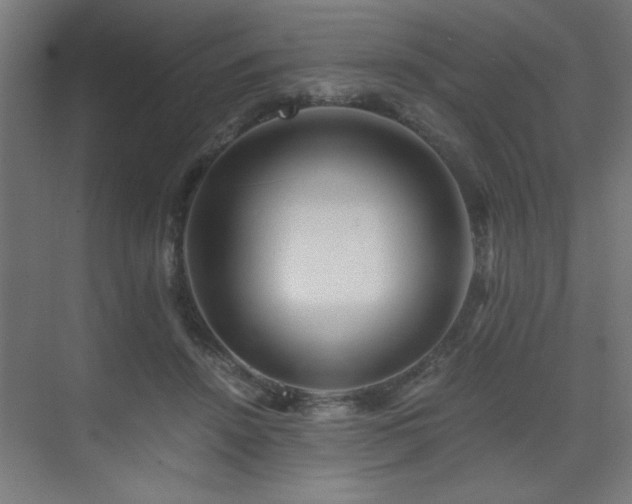 X0000075910456200609151433