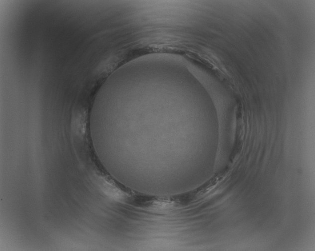 X0000075910458200609151433