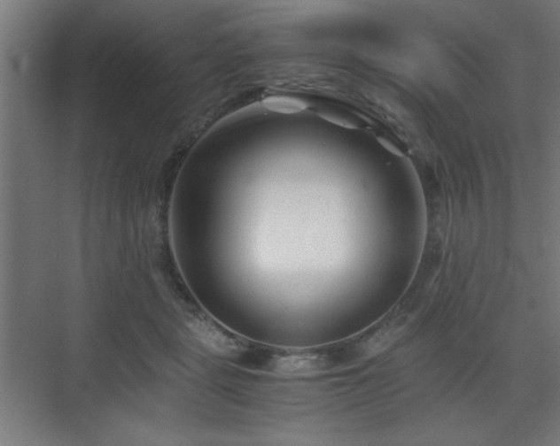 X0000075910461200609151433