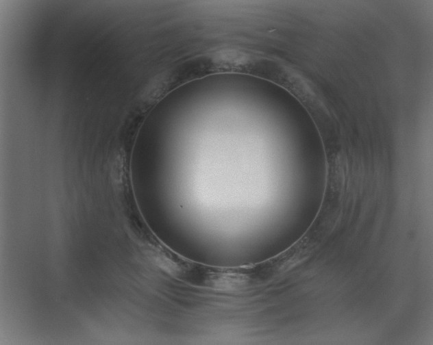 X0000075910463200609151433
