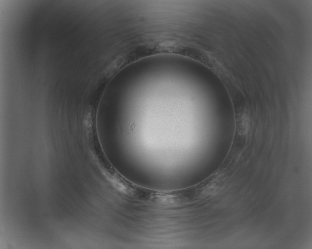 X0000075910472200609151433