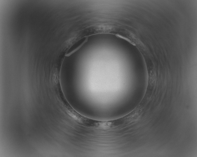 X0000075910474200609151433