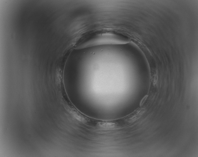 X0000075910476200609151433