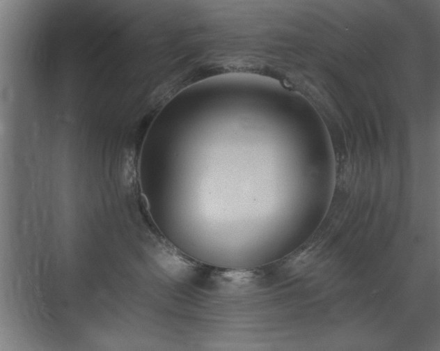 X0000075910478200609151433