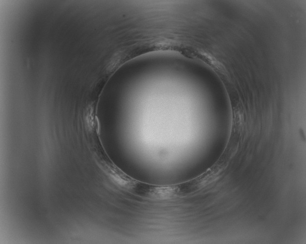 X0000075910479200609151433