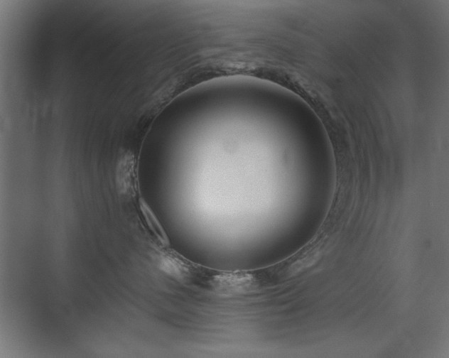 X0000075910480200609151433