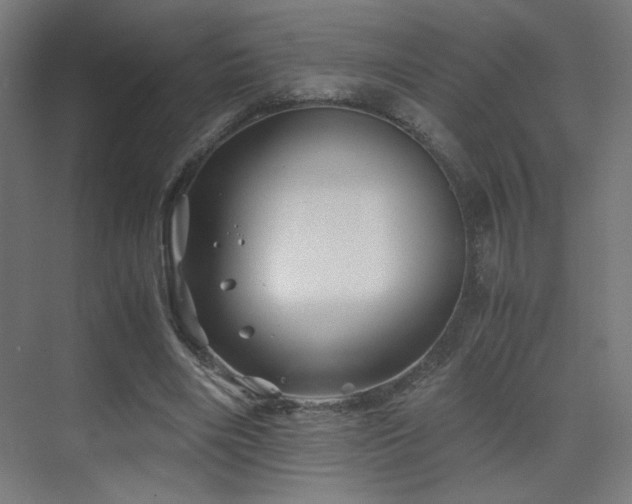X0000075910490200609151432