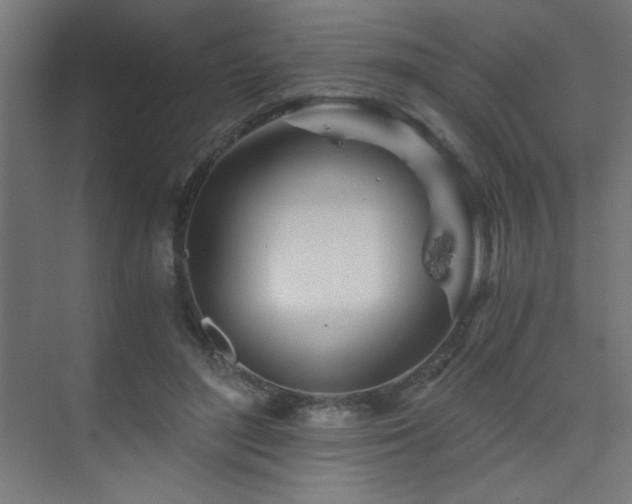 X0000075910500200609151432