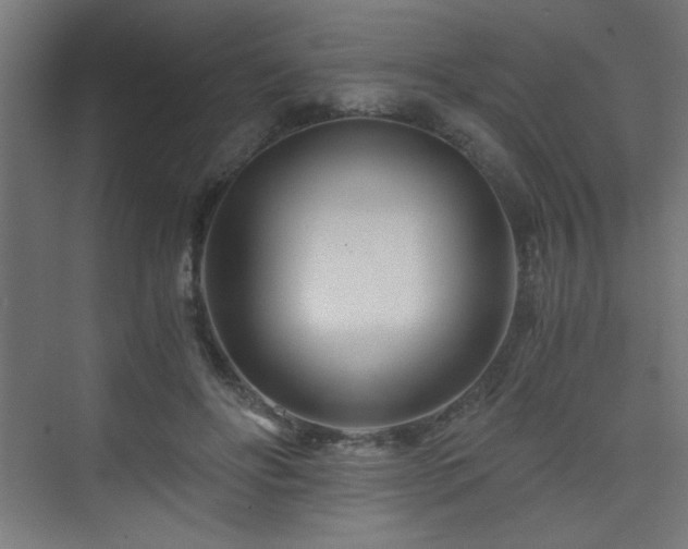 X0000075910502200609151432