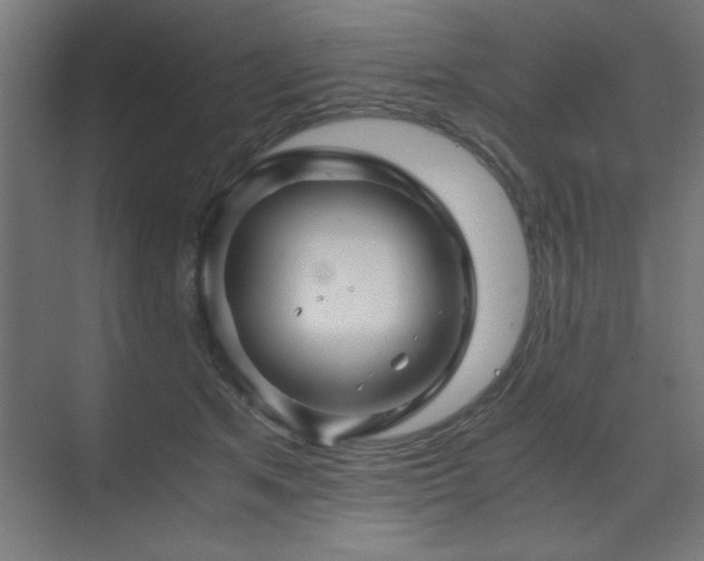 X0000075910513200609151432