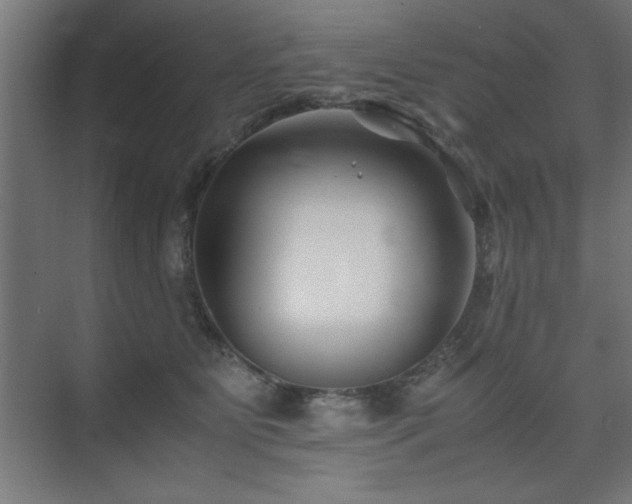 X0000075910515200609151432
