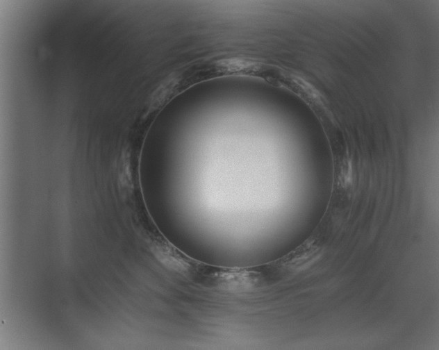 X0000075910524200609151432