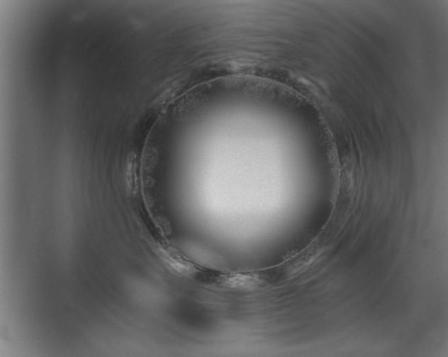 X0000075910527200609151432