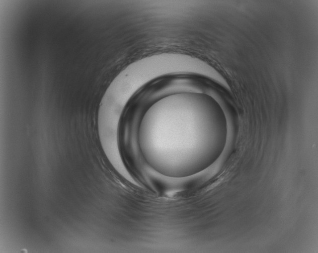 X0000075910528200609151432