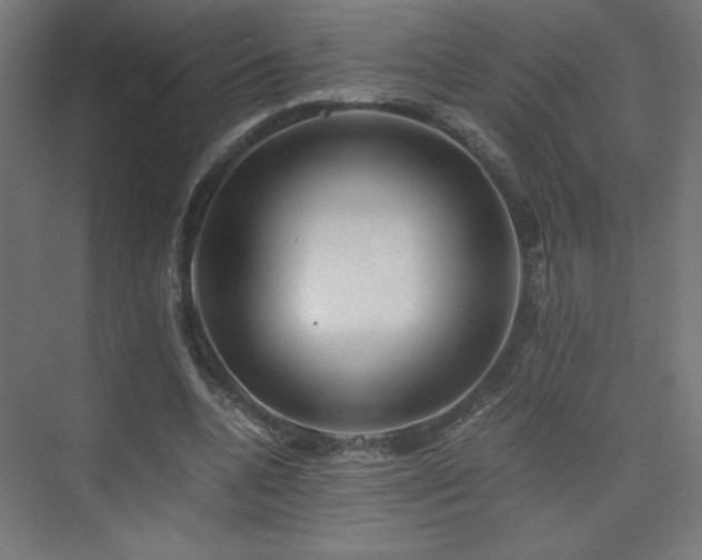 X0000075910536200609151431