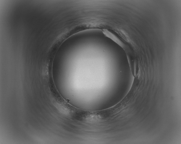 X0000075910543200609151431