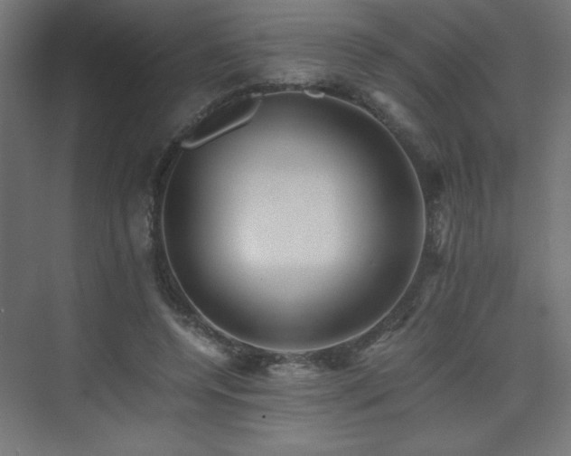 X0000075910544200609151431
