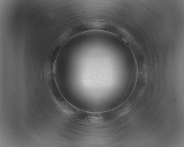 X0000075910552200609151431