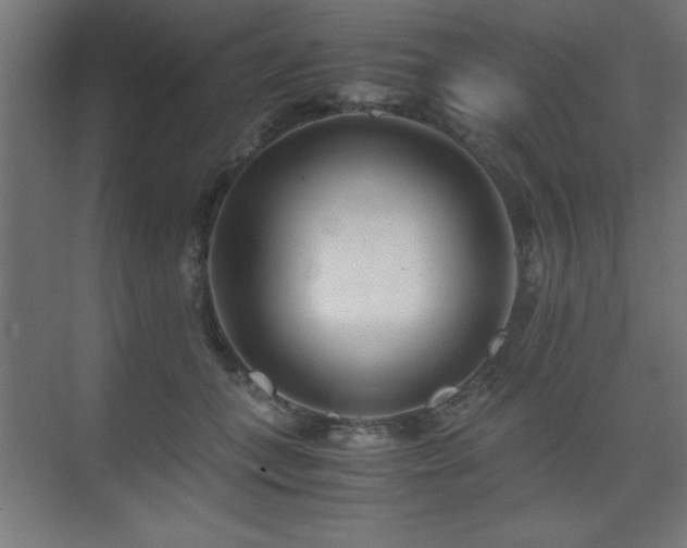 X0000075910559200609151432