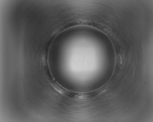 X0000075910564200609151432