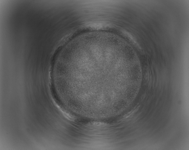 X0000075910590200609151431